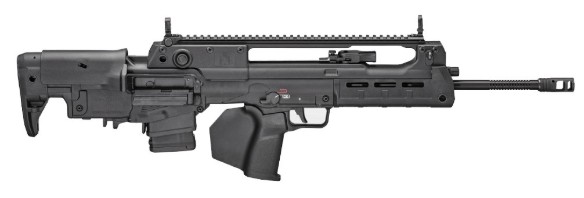 SPRINGFIELD ARMORY 5.56 20IN BARREL HELLION BLACK ADDITIONAL MAGS 1X10 RD RED DOT OPTIC AND SINGLE POINT SLING GEAR UP 2025 HL920556BCA-P25