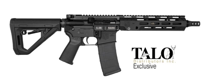 DB15 SBR 5.56 10" V3 MLOK PMAG 30rd TALO