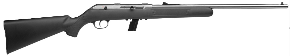 64 FSS 20.5IN 22 LR STAINLESS 10+1RD