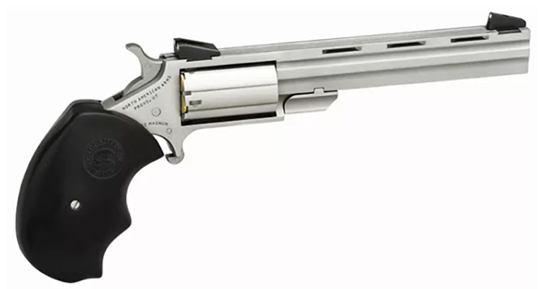 MINI-MASTER 22MAG 4" FS