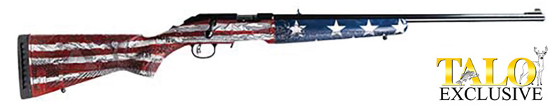 RUGER AM RIM 22WMR 22" 9RD RWB WD