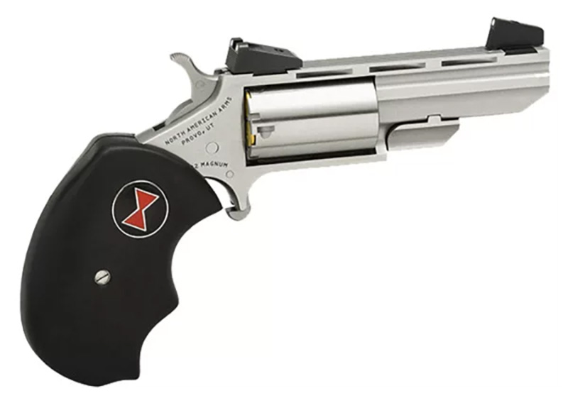 NAA BLK WIDOW 22WMR 2" 5RD AS