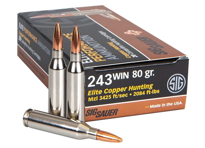 ELITE HUNTING 243W 80GR COPPER 20RDS/BX