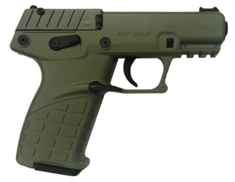 P17 22LR 3.93in. Green 16rd-img-0