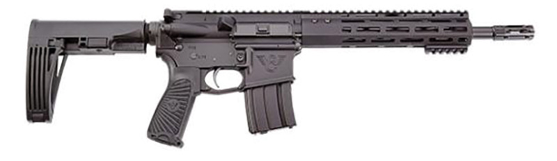Protector Pistol 300Blk 11.3" Blk 30Rd