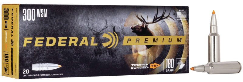 FED VITAL-SHOK 300WSM 180GR TB TIP 20/10