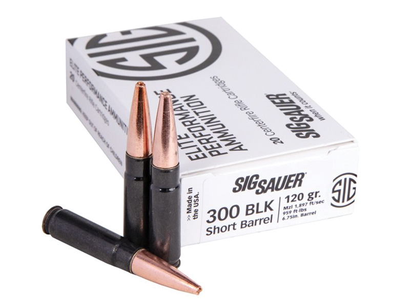  Sauer E300H1SBR20 Elite Performance Copper Solid 120 Grain .300 AAC Blackout 1897 Fps Ammo